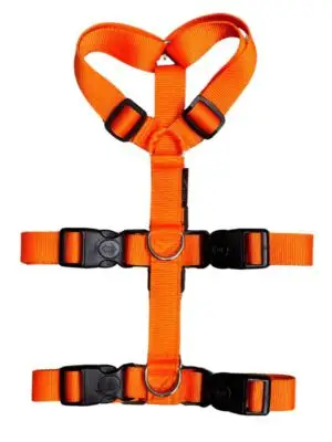 Anti-ontsnappingstuig Oranje