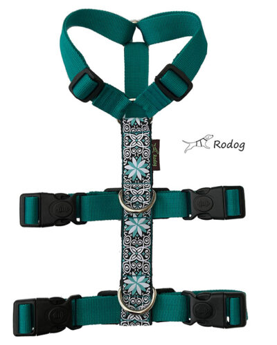 Anti-ontsnappingstuig Tribal Ster Turquoise