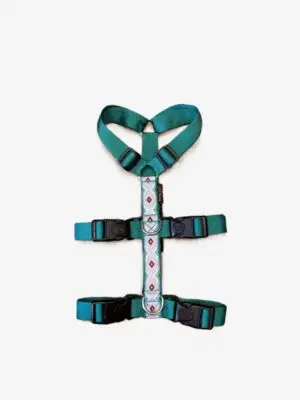 Anti-ontsnappingstuig Aztec Turquoise