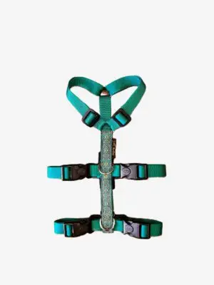 Anti-ontsnappingstuig Persian Turquoise