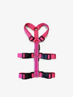 Anti-ontsnappingstuig Reflectie Fuchsia