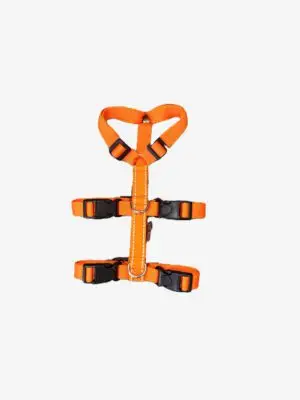 Anti-ontsnappingstuig Reflectie Oranje