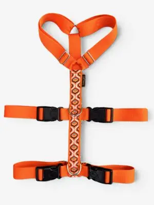 Anti-ontsnappingstuig Retro Oranje
